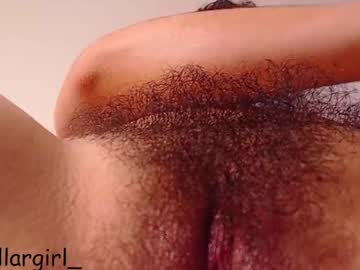  dollargirl 