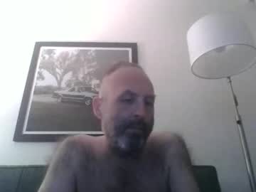 badwolf311