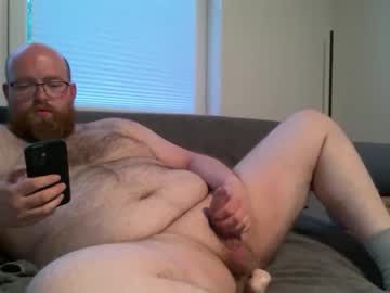 bear798