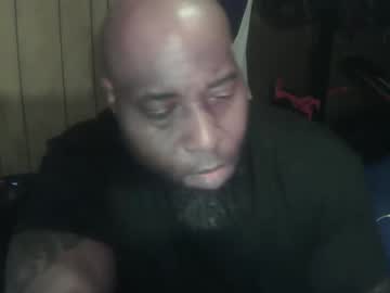 bussitdown 313