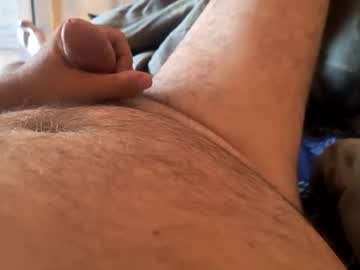 chicothecat2540