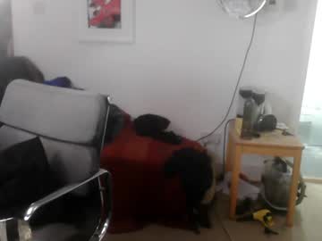 diddlysquatter