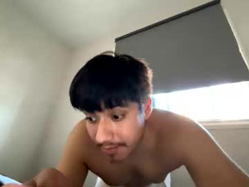 dino202310 dino202310