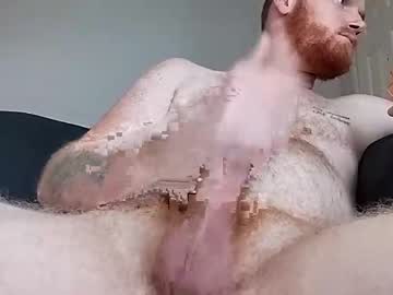 gr8ginger