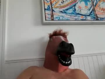 horseheadguy