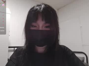 kitty krush