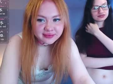 koshechka sobac