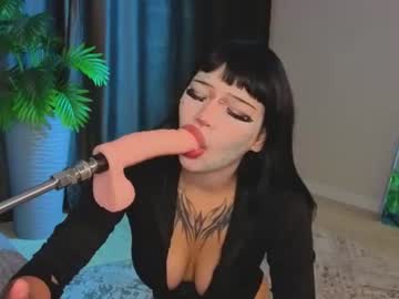 kotickmav