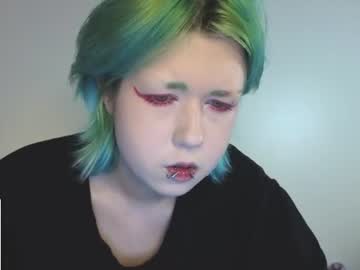 littlekittensta