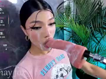 mayfox06