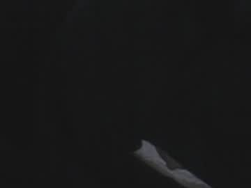 nehelenia 