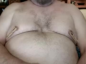 nip fun bear