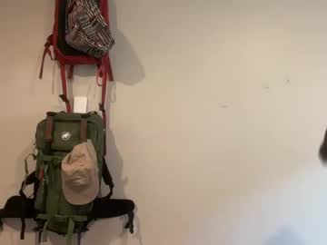 punkhazardd13