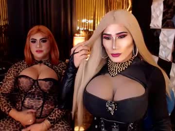queen horsecock