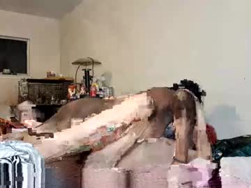 rockythedog7477
