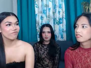 sexyhotladyboy 