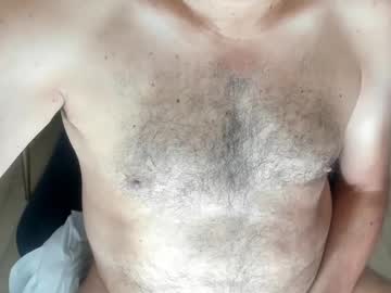 sugarhairybear