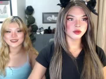 tsduocockie