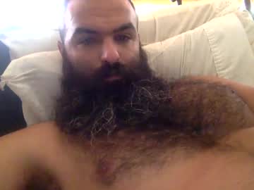 woof wolf37