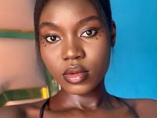 beameralex beameralex