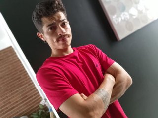 taylorstele