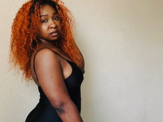 zurihush