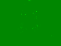 solarnymph